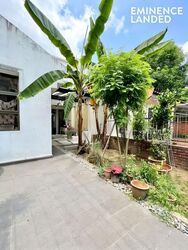 Holland Grove Road (D10), Terrace #566432381